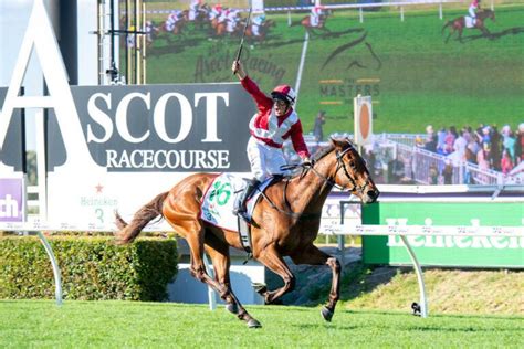 kingston town classic field|Northerly Stakes 2024 .